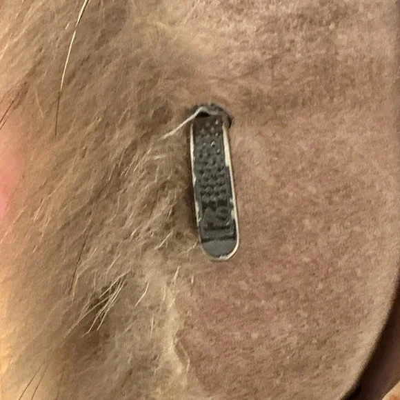 Luxurious Vintage Coyote Tan Fur Coat Medium - Picture 3 of 8